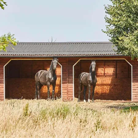 Сasa de vacaciones Host & - Beck House Cottages Cropton